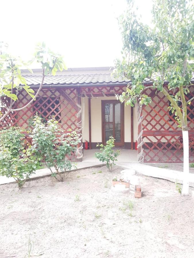 Casa Carter 호텔 스픈투 게오르게 외부 사진